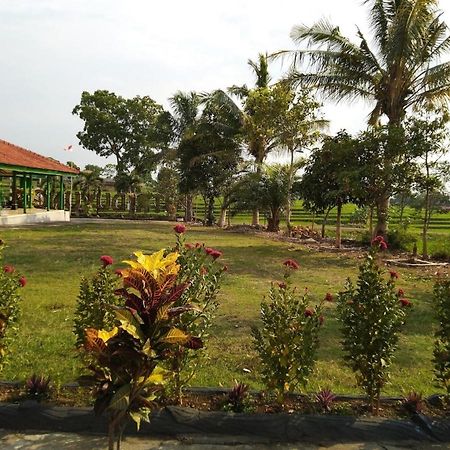 Putri Duyung Guest House Karangpandan Eksteriør billede