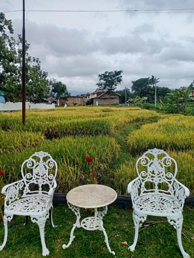 Putri Duyung Guest House Karangpandan Eksteriør billede